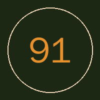 91